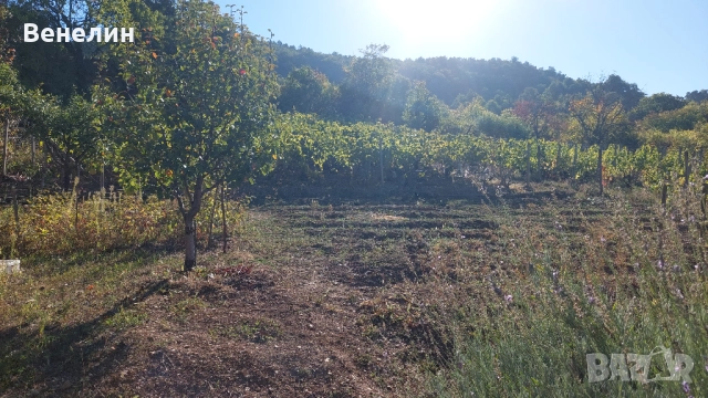 намалена цена 22 000лв., снимка 7 - Вили - 51851316