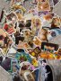 Водоустойчиви стикери 50х бр-Котки,Cats,Kitty(лаптопи,коли,тротинетки,мотори,каски,Xbox,PS4-5 и др), снимка 8