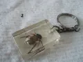 Стари ключодържатели Насекоми, снимка 6