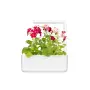 Smart Garden 3 - градина за дома в бяло, снимка 11