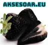 100 семена от плод черна ягода органични плодови ягодови семки от вкусни черни ягоди отлични плодове, снимка 2