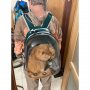 2745 Раница прозрачна капсула носене на кучета или котки, снимка 13