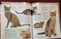 Енциклопедия на котките / Encyclopedia of Cats, снимка 10