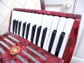 Акордеон Велтмайстер 12 баса, снимка 5