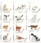 12 котки котка котета пластмасови фигурки за украса торта и ирга играчки, снимка 5