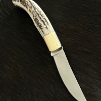 Fox Stag Folder. Траен сгъваем джобен ловен нож с едно основно острие. (FH623), снимка 2 - Ножове - 40601376