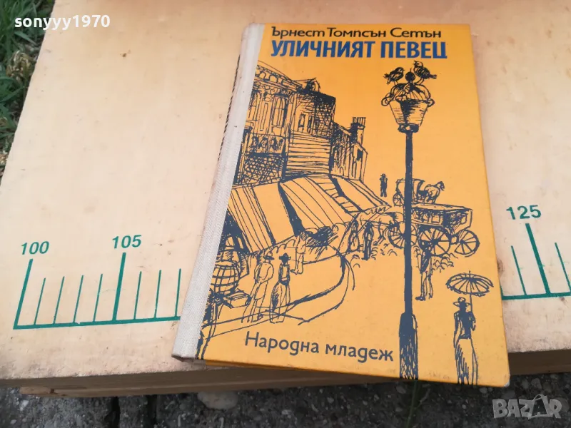 УЛИЧНИЯТ ПЕВЕЦ 1305250821, снимка 1