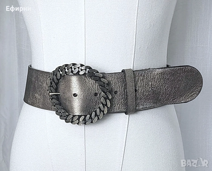 Сребрист колан, Широк сребрист колан, снимка 1