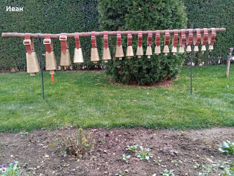 чанове Звънци 1-18, снимка 1