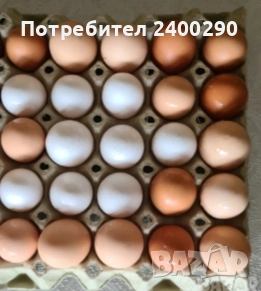 Домашни яйца , снимка 1