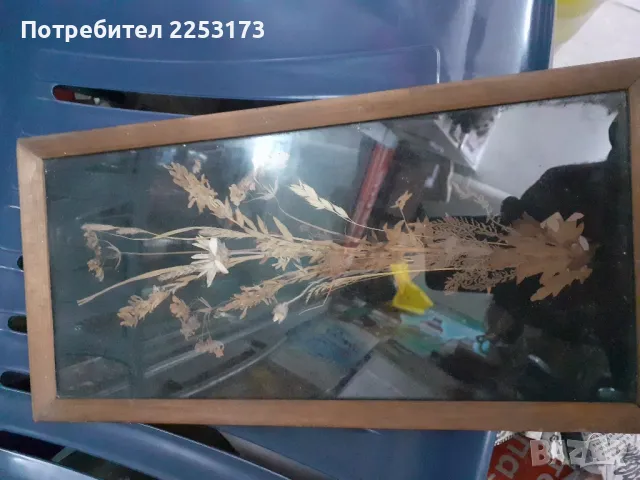 Декоративно пано хербарий, снимка 6 - Пана - 47448953