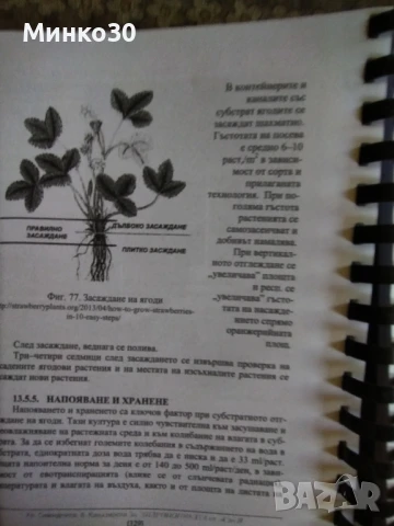 Хидропониката от А до Я, книга , снимка 15 - Енциклопедии, справочници - 50752969