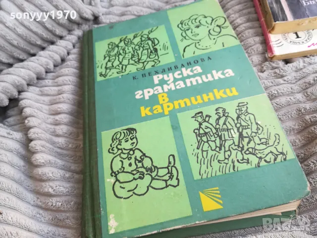 РУСКА ГРАМАТИКА В КАРТИНКИ 0601251536, снимка 3 - Художествена литература - 48572249