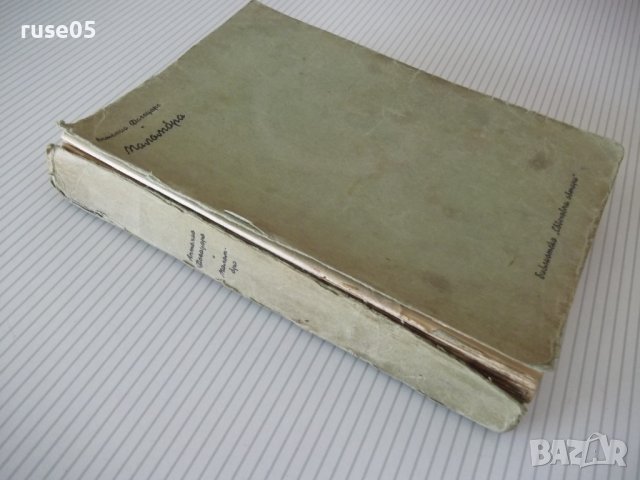 Книга "Маломбра - Антонио Фогацаро" - 372 стр., снимка 7 - Художествена литература - 41494884