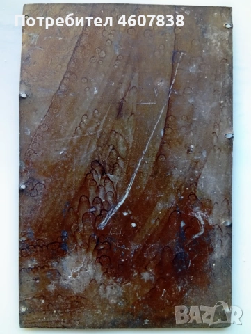 Фотографска плака за фотоапарат, снимка 2 - Фотоапарати - 53621395