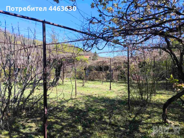 Парцел в с. Крайни дол, снимка 10 - Парцели - 50165003