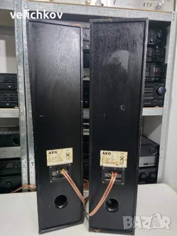 🔊 AEG Z500 – Звярът от старата школа! 🎶, снимка 5 - Тонколони - 50763582