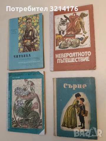 Невероятното пътешествие - Шийла Бърнфорд