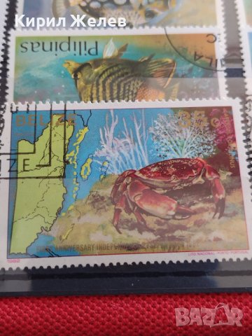Пощенски марки смесени серия ЕКЗОТИЧНИ РИБИ много красиви за КОЛЕКЦИЯ 37888 , снимка 4 - Филателия - 40455166
