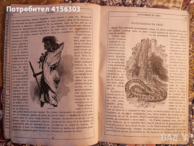 Месечна Зорница. Списание. 1882., снимка 3 - Антикварни и старинни предмети - 53782902