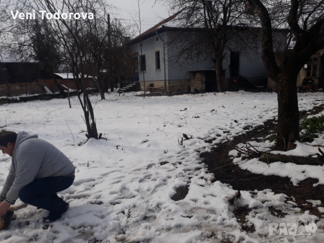 Просторен реновиран имот в курортна местност Божурица, снимка 3 - Вили - 36048582