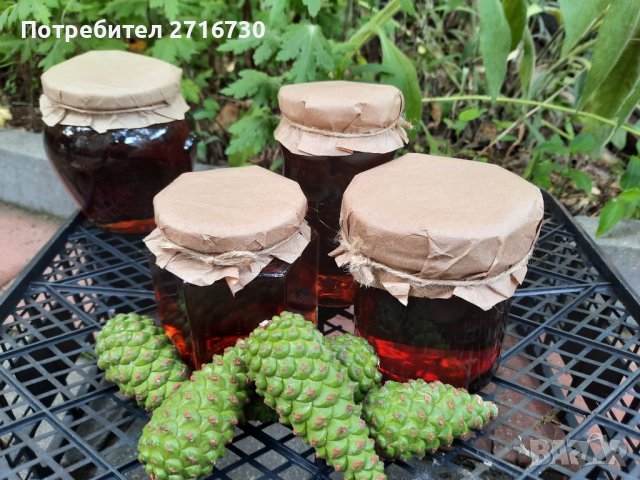 Боров мед от борови връхчета и шишарки, снимка 2 - Домашни продукти - 39312356