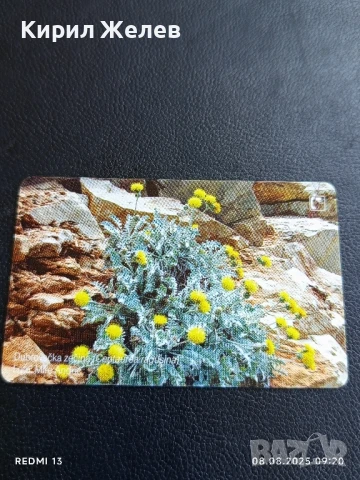 Фонокарта ХЪРВАТИЯ ФЛОРА много красива за КОЛЕКЦИЯ ДЕКОРАЦИЯ 50033, снимка 7 - Колекции - 51293798