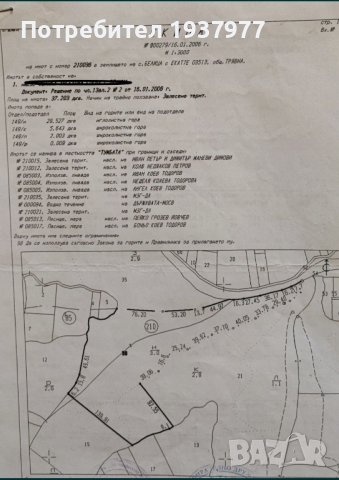 Продавам иглолистна гора, снимка 1 - Земеделска земя - 44437262