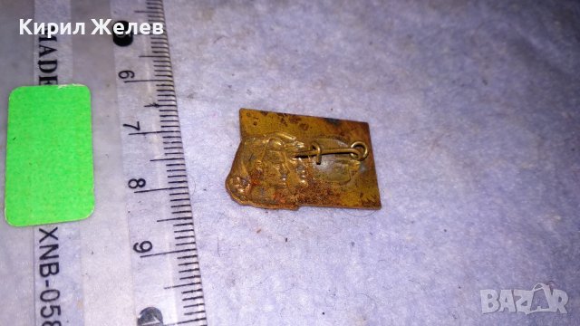 За КОМУНИСТИЧЕСКИ ТРУД Стара ЕМАЙЛИРАНА СОЦ НРБ ЗНАЧКА БРОНЗ ПОЗЛАТА РЯДКА 33508, снимка 5 - Колекции - 38969549