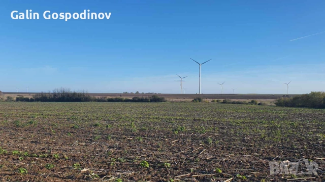 Нива 1 дка с. Горун на 200м от международен път Варна - Дуранкулак., снимка 8 - Земеделска земя - 52297804