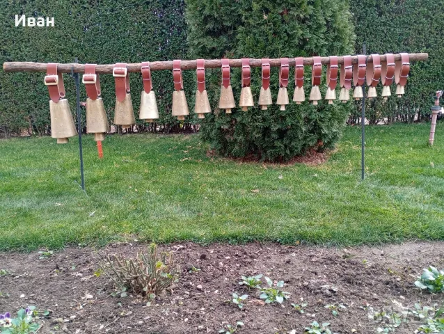 чанове Звънци 1-18