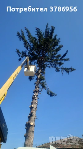 Рязане и кастрене на опасни дървета.Сaниране на сгради.Ремонт улуци и водосточни тръби.Миене на фаса