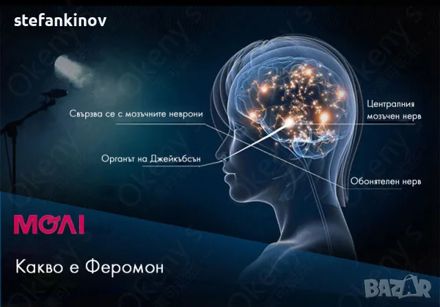 Мъжки парфюм с феромони който привлича жените 30 мл, снимка 5 - Мъжки парфюми - 47422660