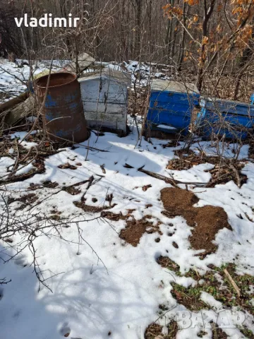 Кошери, снимка 3 - За пчели - 49276311