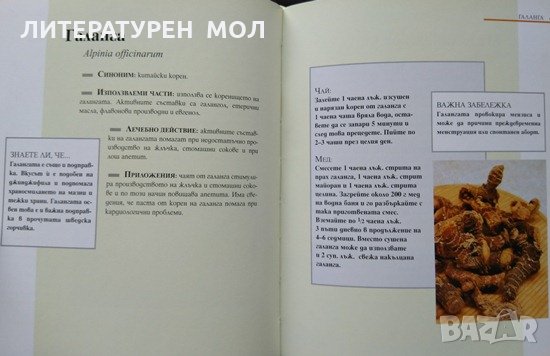 Билковите лекове Съставки, лечебни свойство, приложение Ан Айбърг 2008 г., снимка 4 - Специализирана литература - 35888507