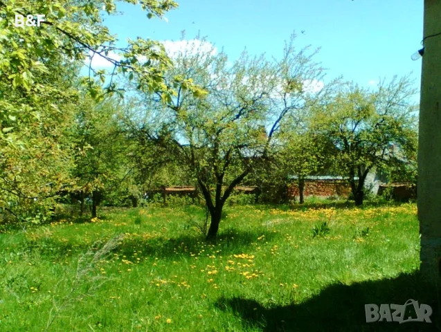 Продава КЪЩА с. Горни Окол, снимка 6 - Къщи - 56081395