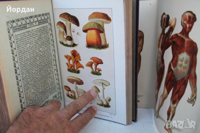 Немска книга за семейството 944 страници, снимка 11 - Колекции - 41808009