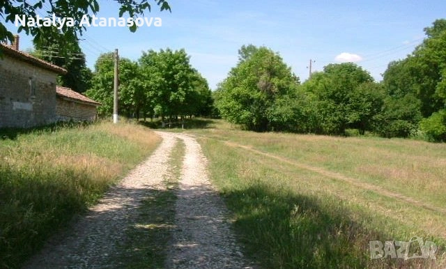 Къща за продажба в Бдинци, Добрич, снимка 5 - Къщи - 53635110