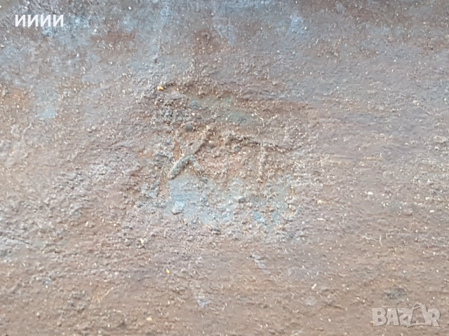 Брадва кривица с печат , снимка 3 - Антикварни и старинни предмети - 52352547