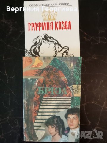 Графиня Козел - Юзеф Крашевски, в 2 тома 