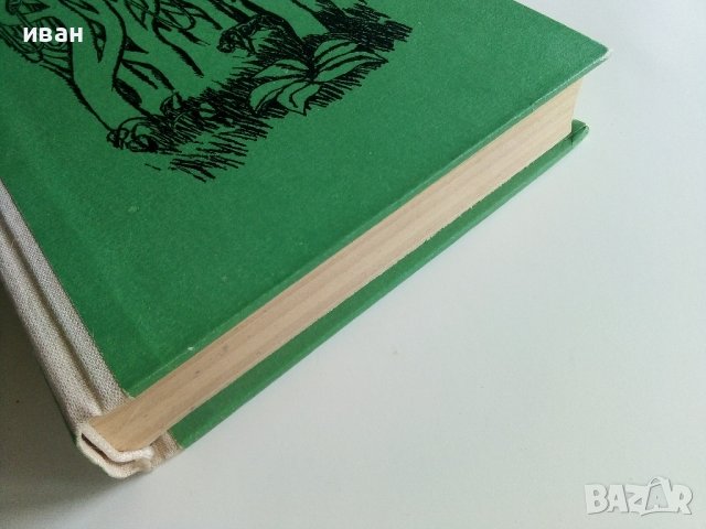 Разкази за джунглата - Сборник  - 1973г., снимка 6 - Художествена литература - 41066862
