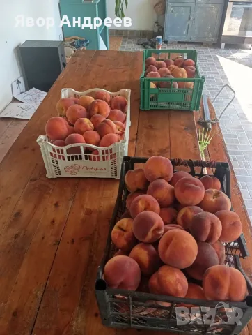 Продавам български праскови, снимка 3 - Домашни продукти - 55894748
