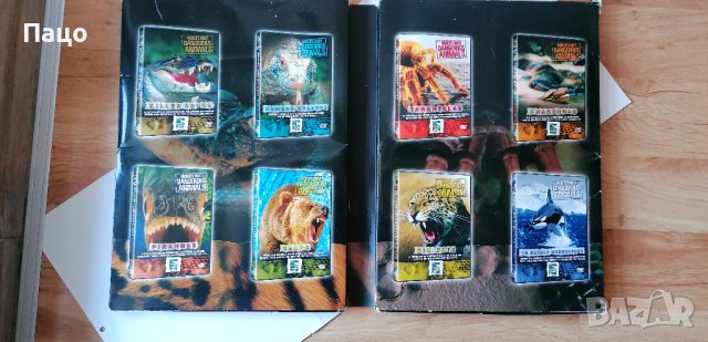 НАЙ-ОПАСНИТЕ ЖИВОТНИ В СВЕТА - 8 DVD КУТИИ/промо цена, снимка 15 - DVD филми - 39831522
