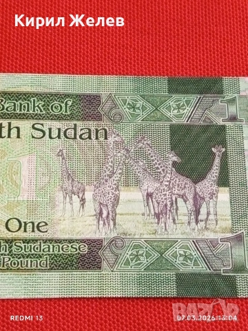 Банкнота ЮЖЕН СУДАН много красива перфектно състояние непрегъвана за КОЛЕКЦИЯ 53930, снимка 6 - Нумизматика и бонистика - 53744772