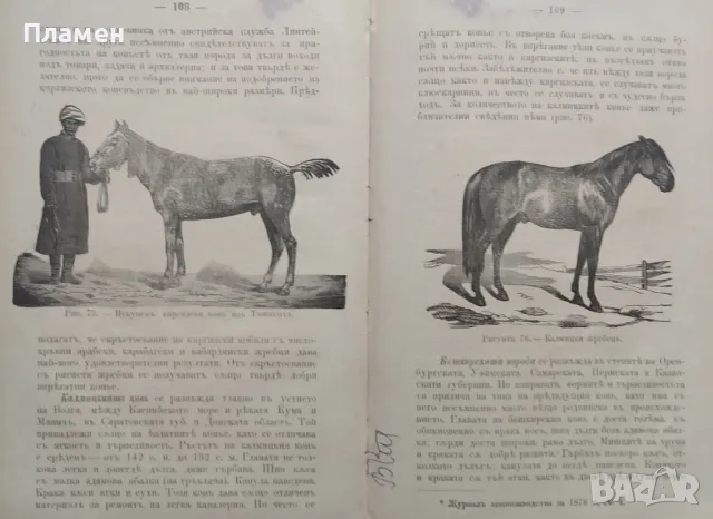 Коневъдство Павелъ Кулешовъ /1892/, снимка 12 - Антикварни и старинни предмети - 47534397