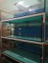 продавам аквариуми, снимка 1 - Аквариуми - 42172348