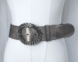 Сребрист колан, Широк сребрист колан, снимка 1