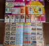 Албум ИЗГОДНО!!! PANINI FIFA WORLD CUP 2002 KOREA&JAPAN , снимка 7