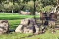 Луксозна планинска къща-имение с 4 спални, двор 4484 кв.м, басейн и уникална панорама от собственик, снимка 4