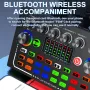 F009 Audio Mixer Звукова карта на живо с DJ миксерни ефекти и студийно оборудване Voice Changer, снимка 6